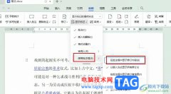 WPS Word批注框不顯示的解決方法
