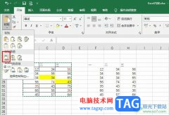 Excel表格只粘貼文本不帶格式的方法