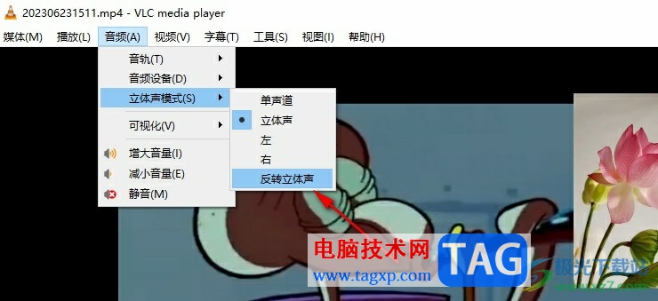 VLC播放器左右聲道反了的解決方法