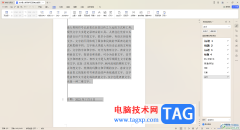WPS文字中設置每頁顯示行