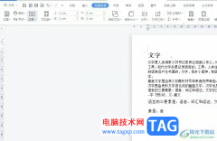 wps文檔在編輯區(qū)域外輸入