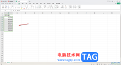 WPS表格中數(shù)據(jù)單位設(shè)置為萬的方法