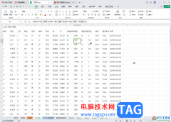 WPS表格電腦版讓單元格內(nèi)容水平和垂直居
