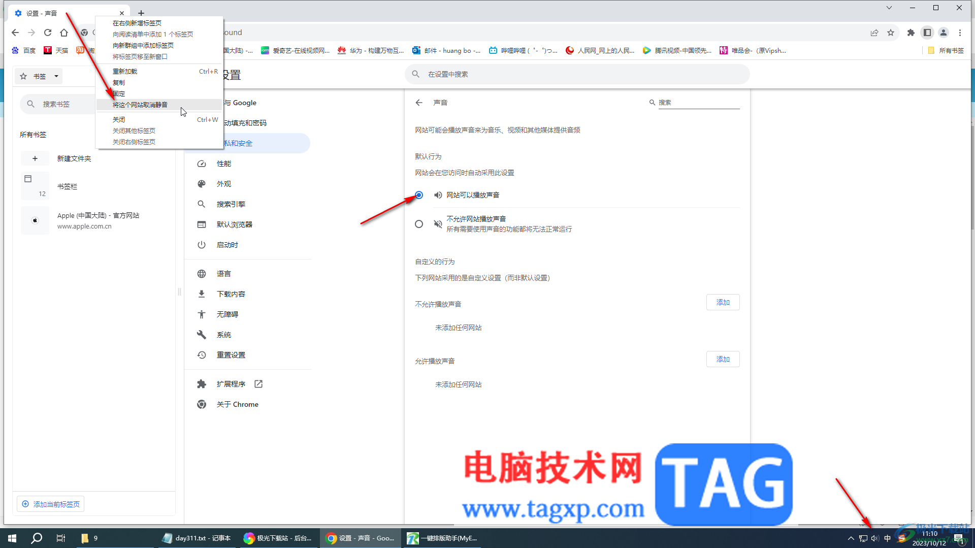 Google Chrome電腦版解決網(wǎng)頁沒有聲音的方法教程