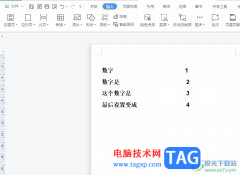 wps文檔設(shè)置單獨一頁的背景圖教程
