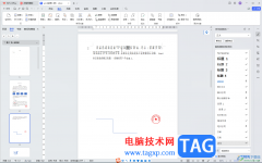 WPS Word電腦版插入多行文本