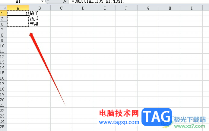 excel表格忽略隱藏行自動(dòng)排列序號(hào)的教程