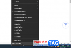 Google Chrome電腦版置頂顯示的方法教程