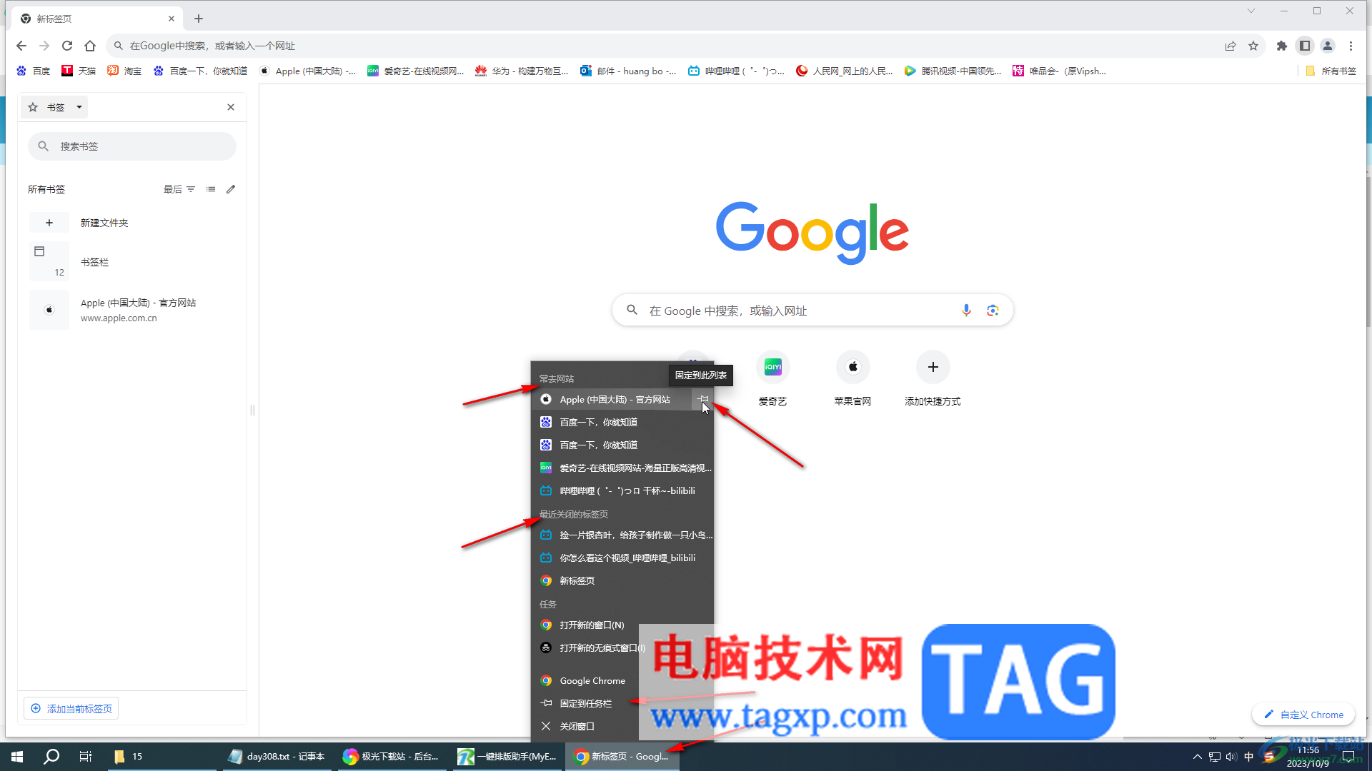 Google Chrome電腦版置頂顯示的方法教程