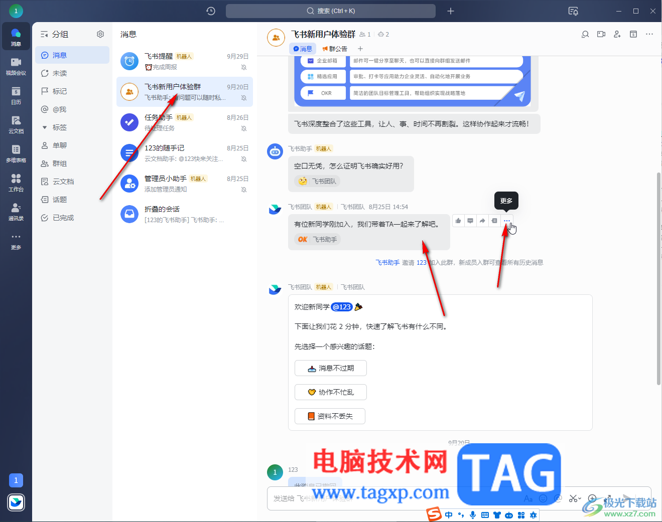 飛書電腦版在群聊置頂某條消息的方法教程