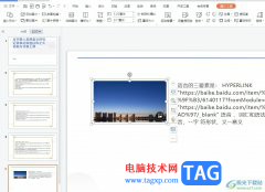 wps圖片大小設(shè)置為30%的教