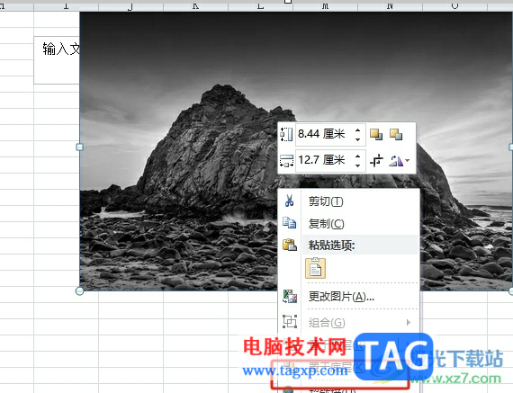 ?excel將圖片置于文字底層的教程