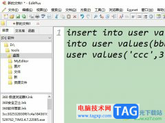 editplus替換文件中的某一字