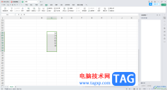 WPS excel表格設(shè)置重復(fù)項只
