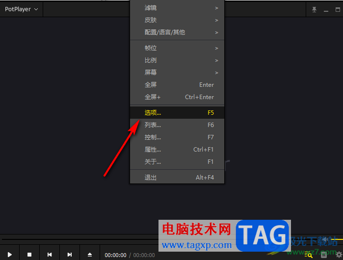 PotPlayer設(shè)置普通視頻渲染的方法