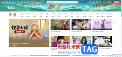 嗶哩嗶哩電腦版調整字幕