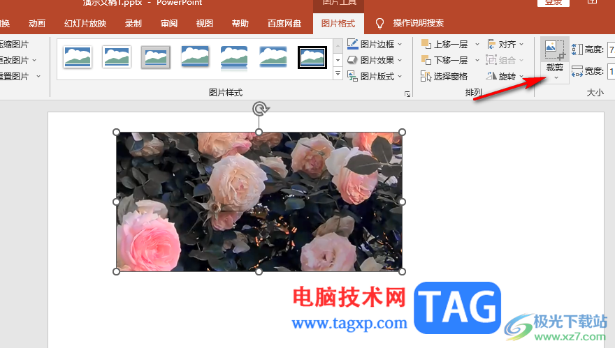 PPT圖片設(shè)置為菱形形狀的方法