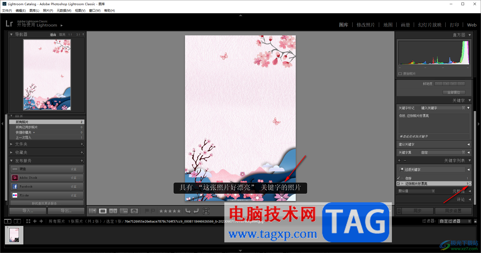 lightroom為照片添加關(guān)鍵字的方法