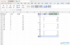 WPS Excel數(shù)據(jù)透視表按某一