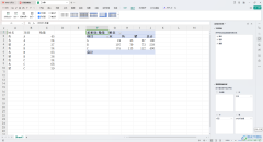 WPS Excel數(shù)據(jù)透視表顯示字
