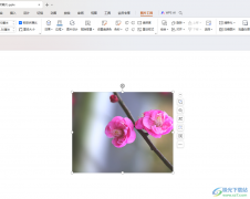 WPS ppt演示將圖片變淡的方法