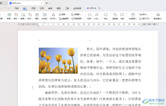 WPS Word將圖片放在文檔左上角使文字排列