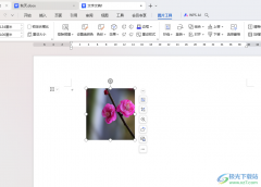 WPS Word文檔更改圖片縮放比例的方法