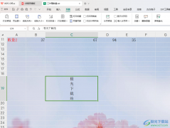 WPS Excel將文字內(nèi)容豎排顯示的方法