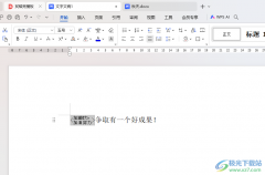 WPS word將文字雙行合一實(shí)現(xiàn)混排效果的方法