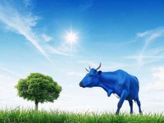 電腦重啟后的啟動(dòng)問(wèn)題：為何電腦啟動(dòng)時(shí)
