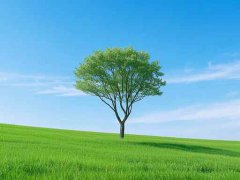 系統(tǒng)還原操作的方法：如何進(jìn)行系統(tǒng)還原